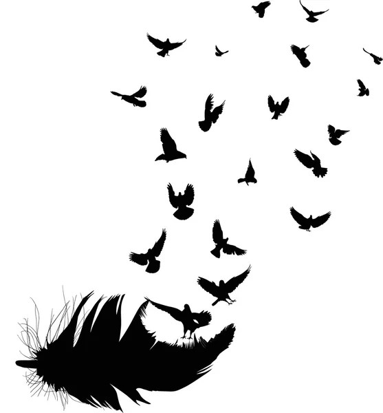 Doves flying from feather silhouettes — Stock Vector