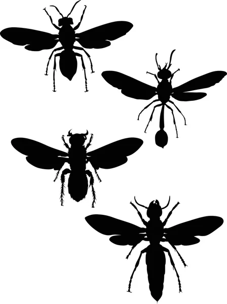 Black wasps silhouettes — Stock Vector