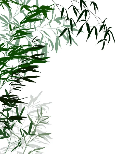 Green bamboo bush — Stock Vector