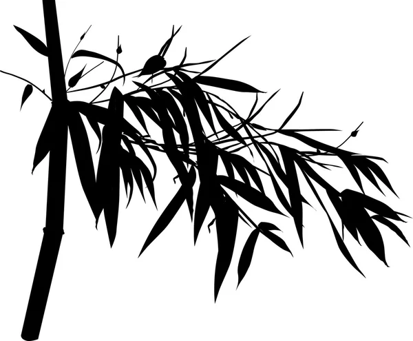 Silhouette de branche de bambou noir — Image vectorielle