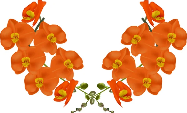 Zářivě oranžové orchideje — Stockový vektor
