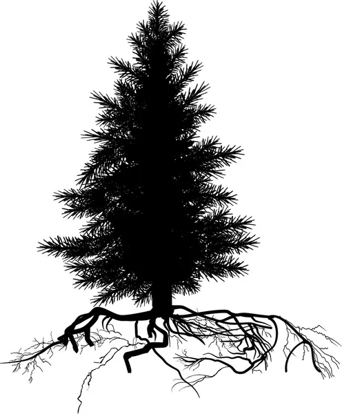 Çam ağacı silueti — Stok Vektör