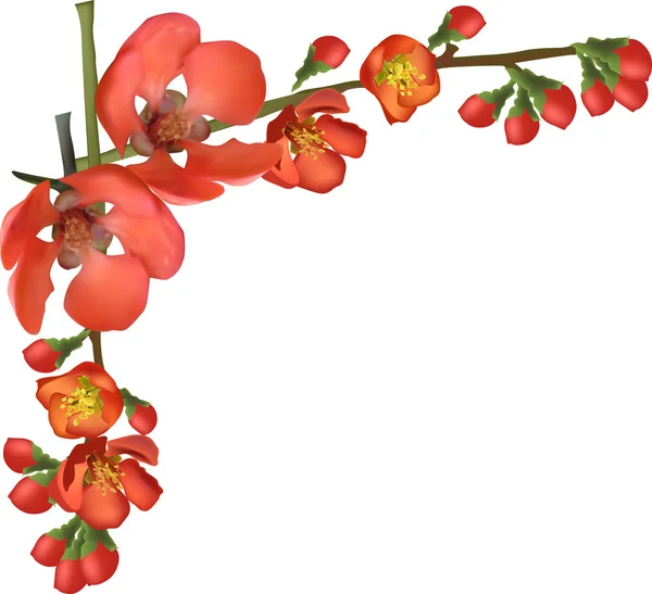 Flores de árboles de primavera — Vector de stock
