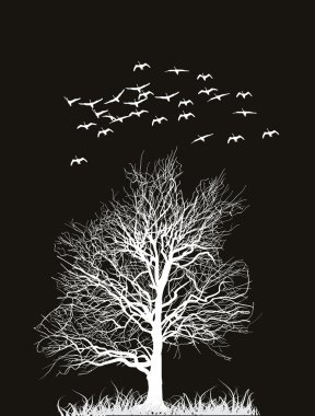 swans and bare tree