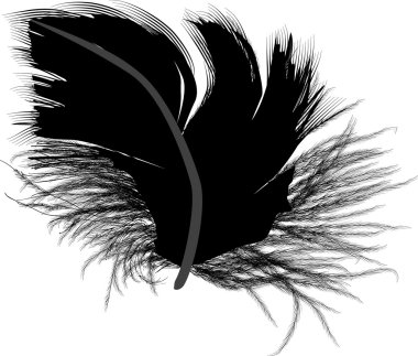 siyah tüy siluet