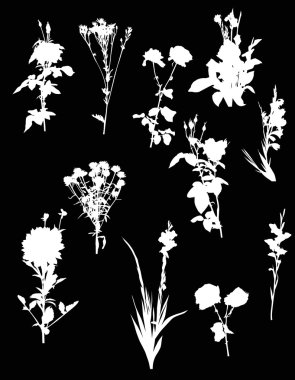 Bahçe çiçek siluetleri