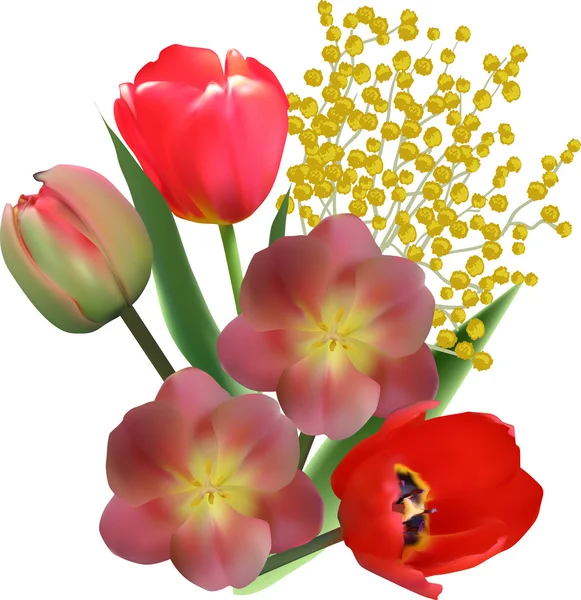 Red tulip flowers — Stock Vector