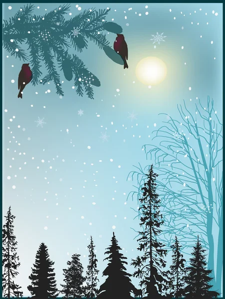 Winter forest and birds — Stock Vector