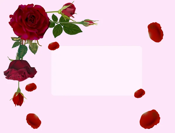 Frame from roses flowers — Διανυσματικό Αρχείο