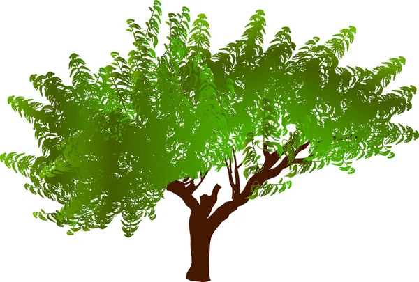 Single green tree — Stock Vector