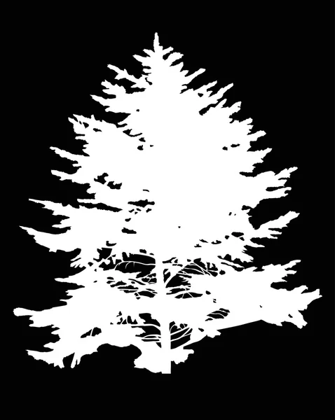 FIR tree siluett — Stock vektor