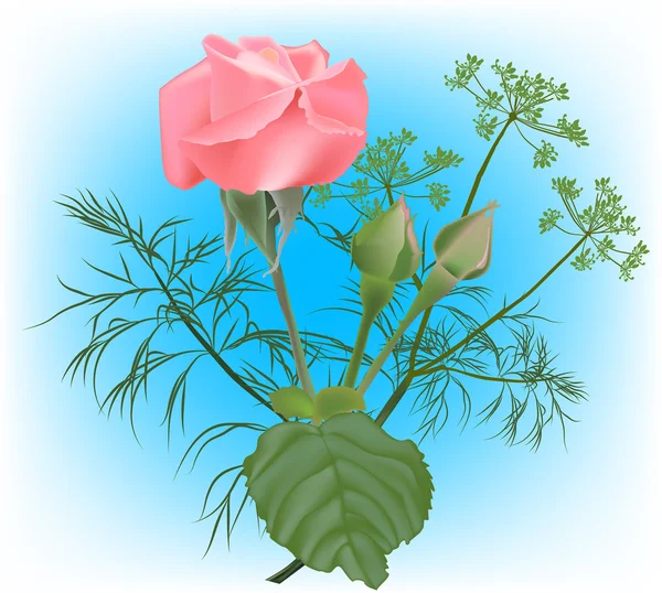Fleur rose et bourgeons — Image vectorielle