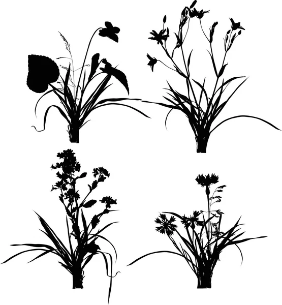 草の中の野生の花 — ストックベクタ