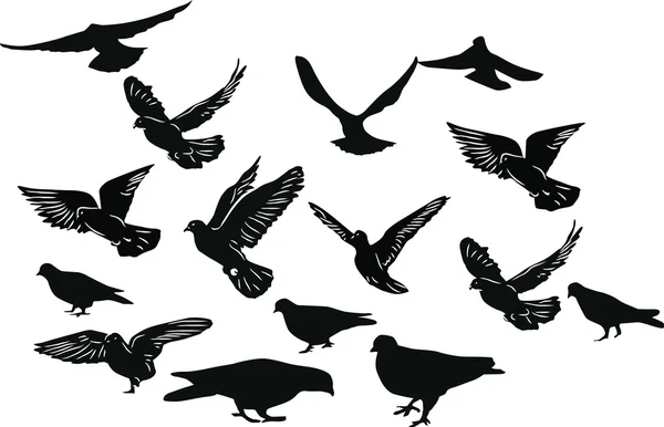 Fifteen black pigeons — Stock Vector