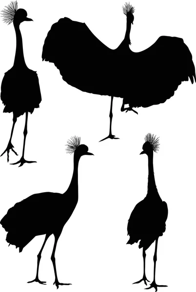 Black cranes silhouettes — Stock Vector