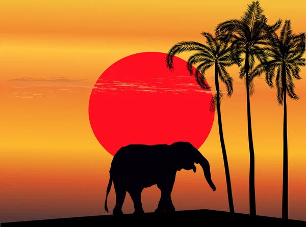 Elephant near palm trees at sunset — Stock Vector