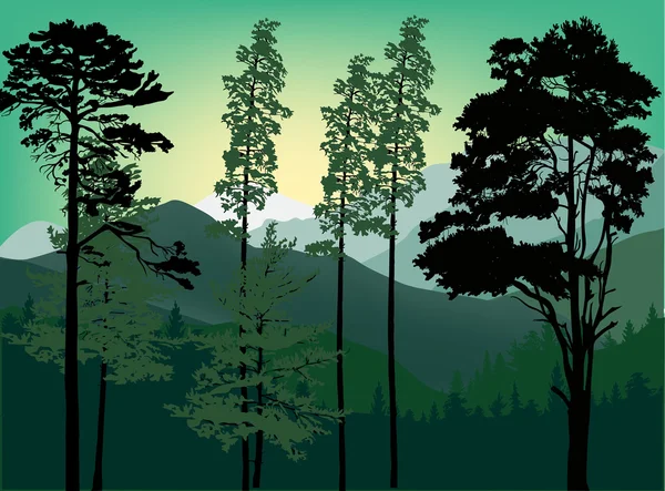 Forêt verte dans les montagnes — Image vectorielle