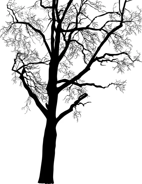 黒い裸木 — ストックベクタ