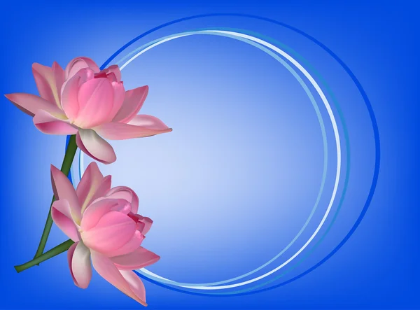 Lotus flowers with circle — Stock Vector