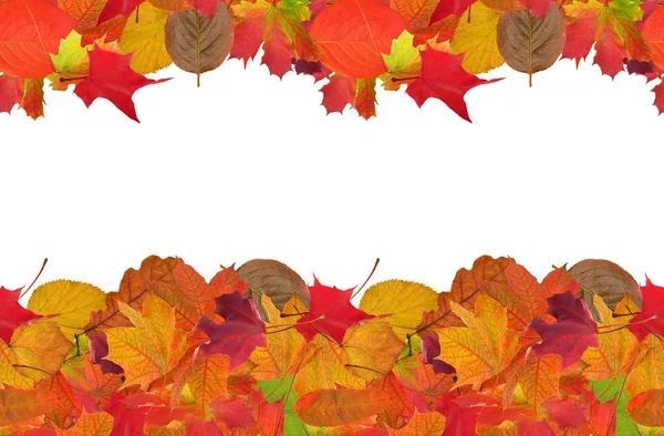 Bright autumn leaves frame — Stock Photo, Image