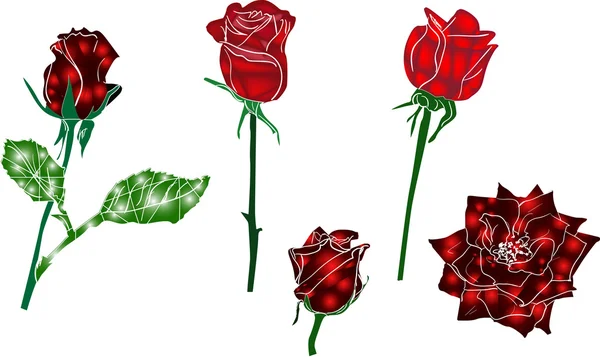 Cinq roses rouges — Image vectorielle