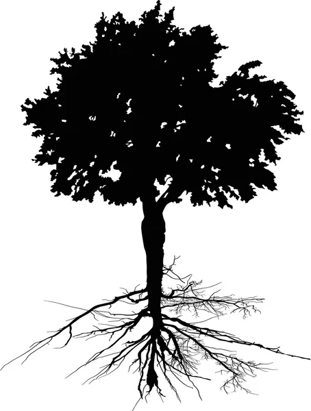 Silueta de árbol negro — Archivo Imágenes Vectoriales