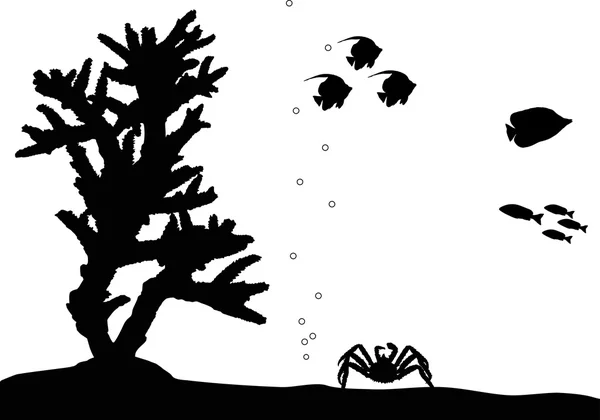 珊瑚和鱼类的剪影 — 图库矢量图片