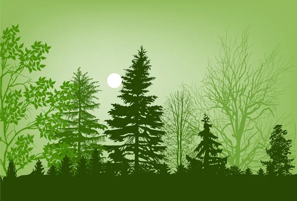 Bosque verde y sol — Vector de stock