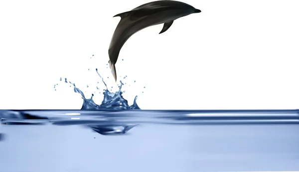 Dolphin melompat dari air - Stok Vektor