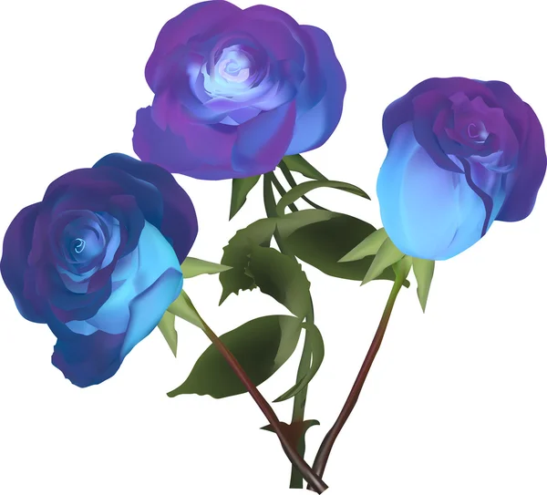 Blaue Rosen Blumen — Stockvektor