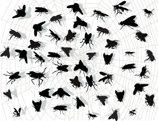Moscas siluetas en tela de araña — Vector de stock