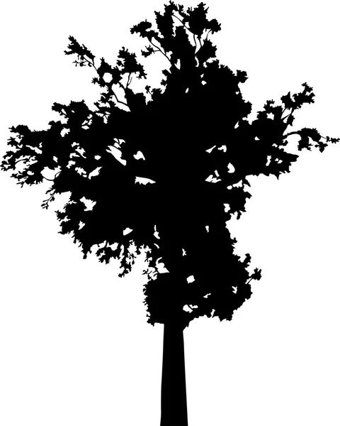 Silhouette albero nero — Vettoriale Stock