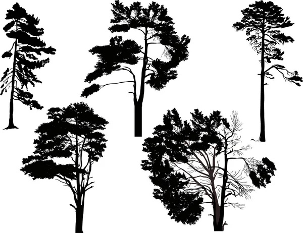 Sagome di alberi neri — Vettoriale Stock