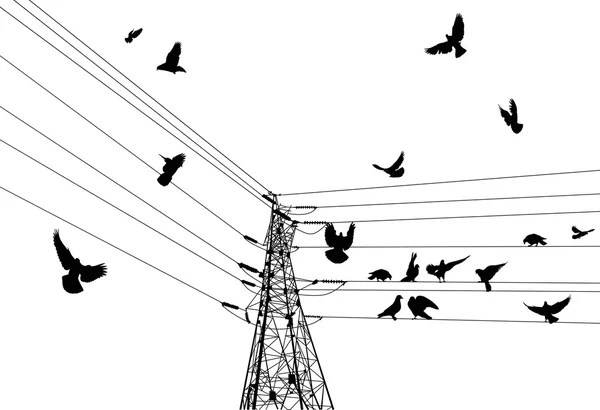 Pylône électrique et oiseaux — Image vectorielle