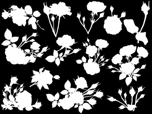 Trandafiri albi siluete — Vector de stoc