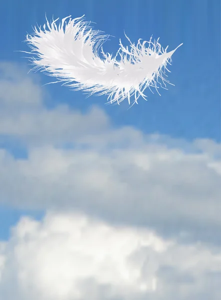 Pluma única en el cielo azul — Vector de stock