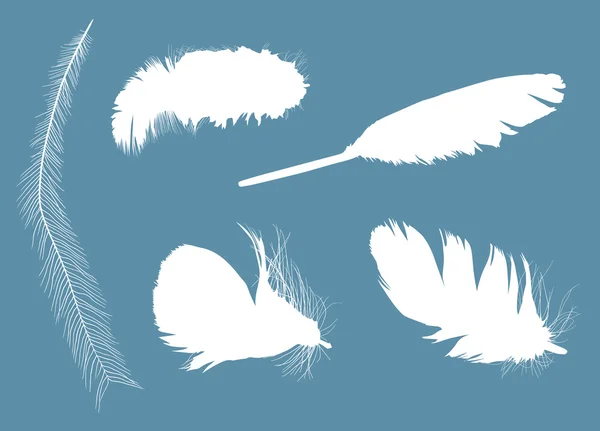 Cinco plumas blancas — Vector de stock