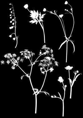 kır çiçekleri siluetleri