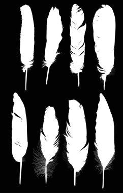 Beyazlara siluetleri