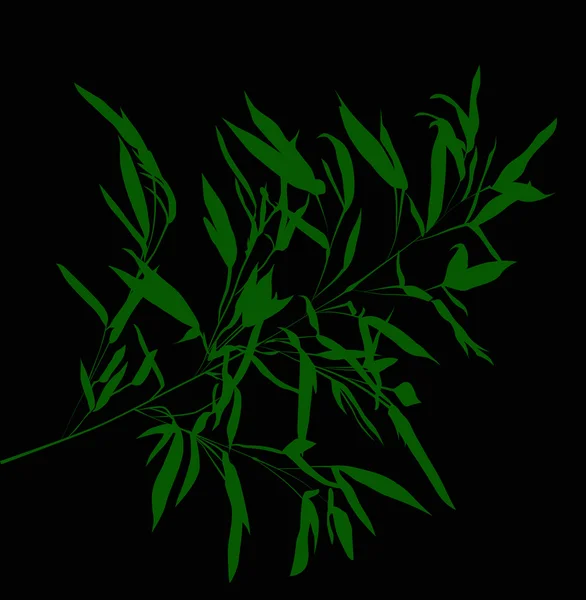 Grön bambu gren — Stock vektor