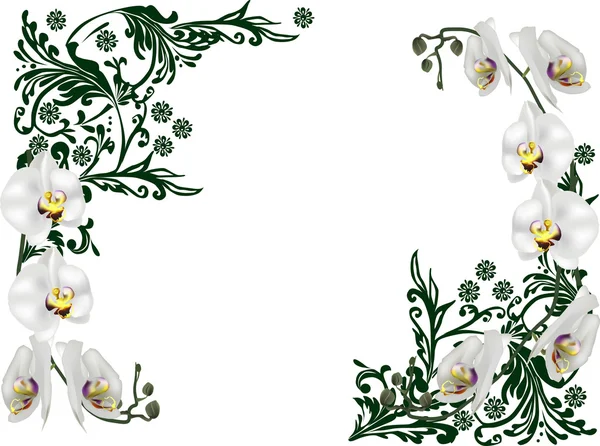Marco decoración con orquídeas — Vector de stock