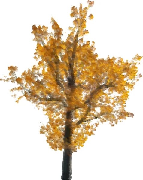 Golden fall oak — Stock Vector