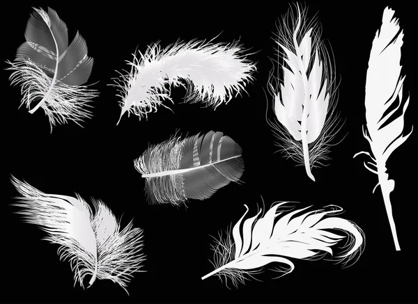 Seven light feathers — Stock Vector