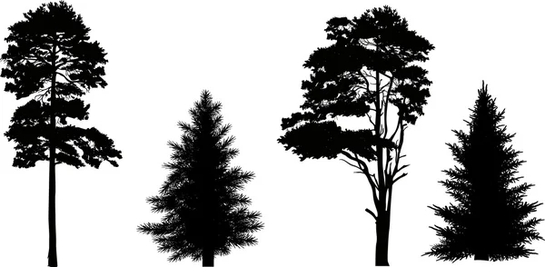 松树和冷杉剪影 — 图库矢量图片