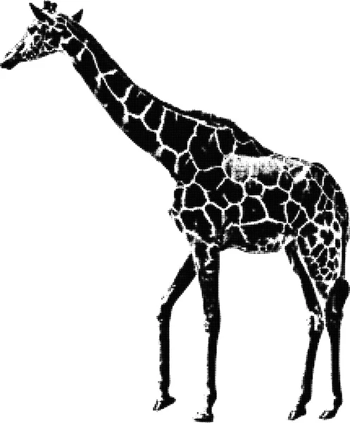 Large giraffe from dots — Stock Vector