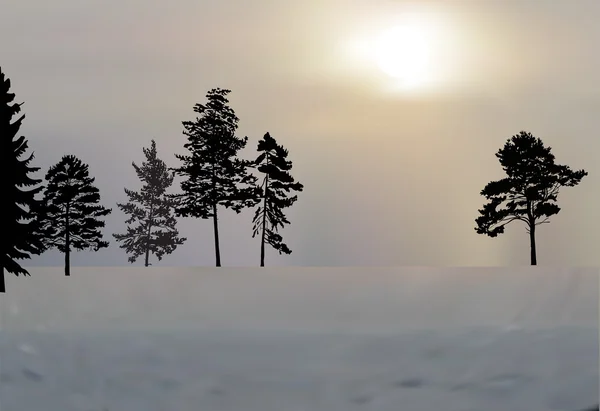 冬天的树木剪影 — 图库矢量图片