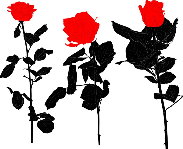 Roses rouges et noires fleurs — Image vectorielle