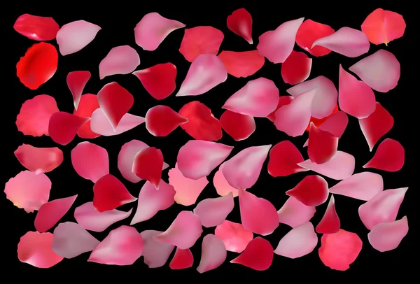 Red roses petals — Stock Vector