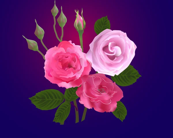 粉红玫瑰花朵 — 图库矢量图片