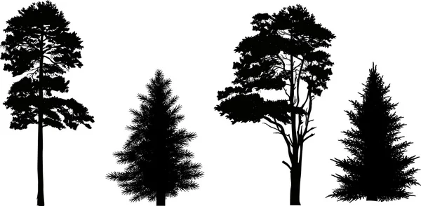 Pines and firs silhouettes — стоковый вектор